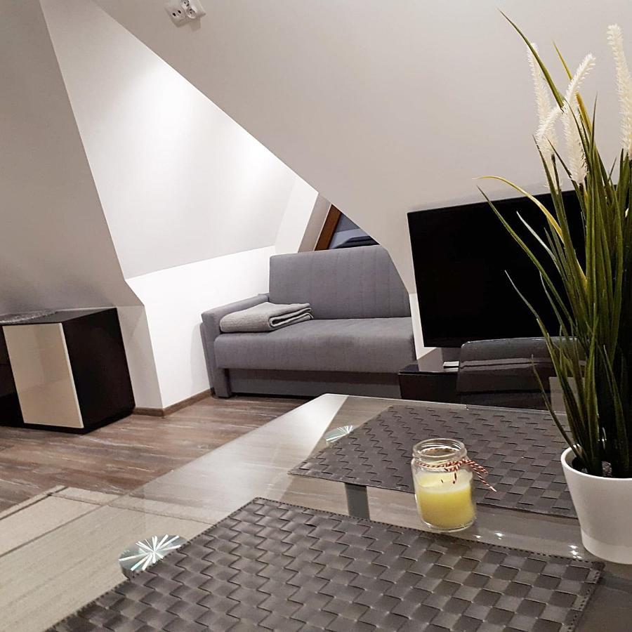 Apartament Apartament STRYCH NA POLANIE Poronin Zewnętrze zdjęcie